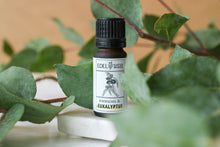 Lade das Bild in den Galerie-Viewer, Ätherisches Eukalyptus-Öl, 10ml