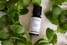 Lade das Bild in den Galerie-Viewer, Ätherisches Pfefferminz-Öl, 10ml