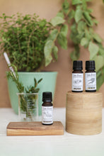 Lade das Bild in den Galerie-Viewer, Ätherisches Rosmarin-Öl, 10ml