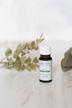 Lade das Bild in den Galerie-Viewer, Propolis Nagelpflege, 10ml