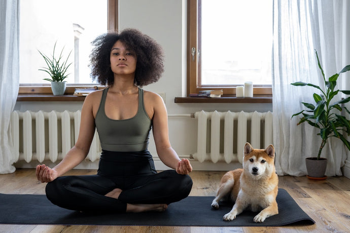 Meditation - die Gedanken sind frei