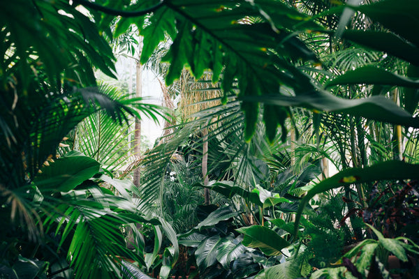 Wir helfen dir durch den Dschungel der Naturkosmetik-Labels Foto: Chris Abney, Unsplash