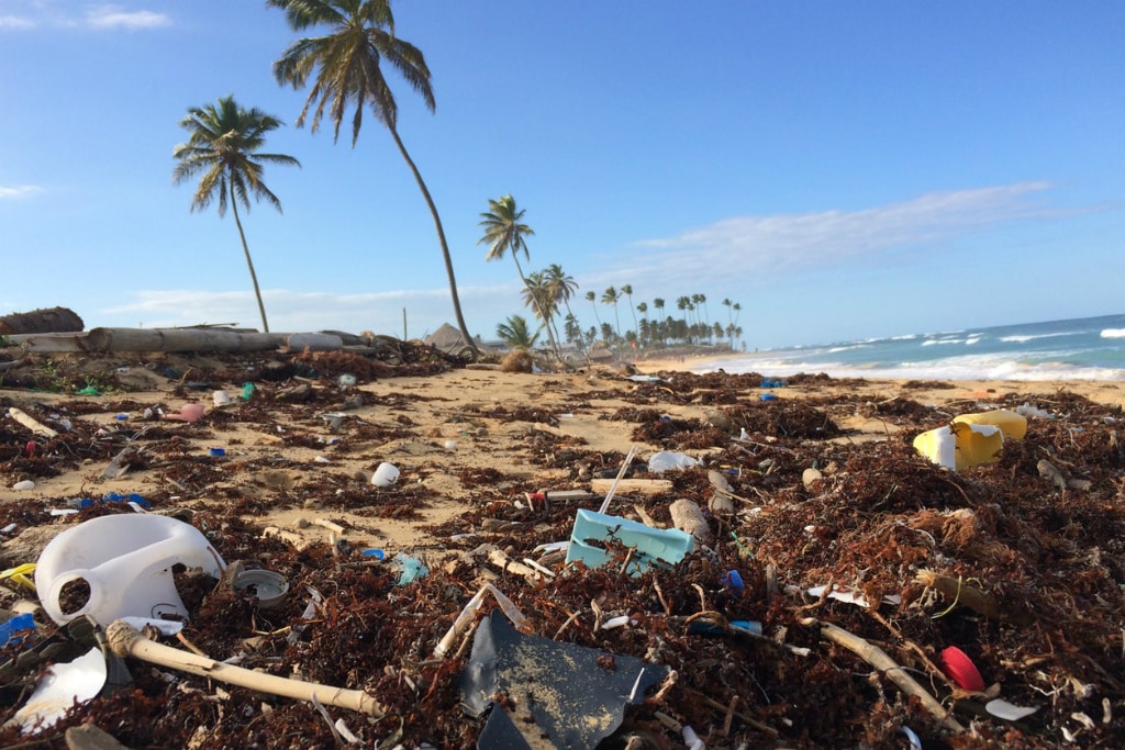 So vermeidest du Plastikmüll und Mikroplastik. Foto: Dustan Woodhouse