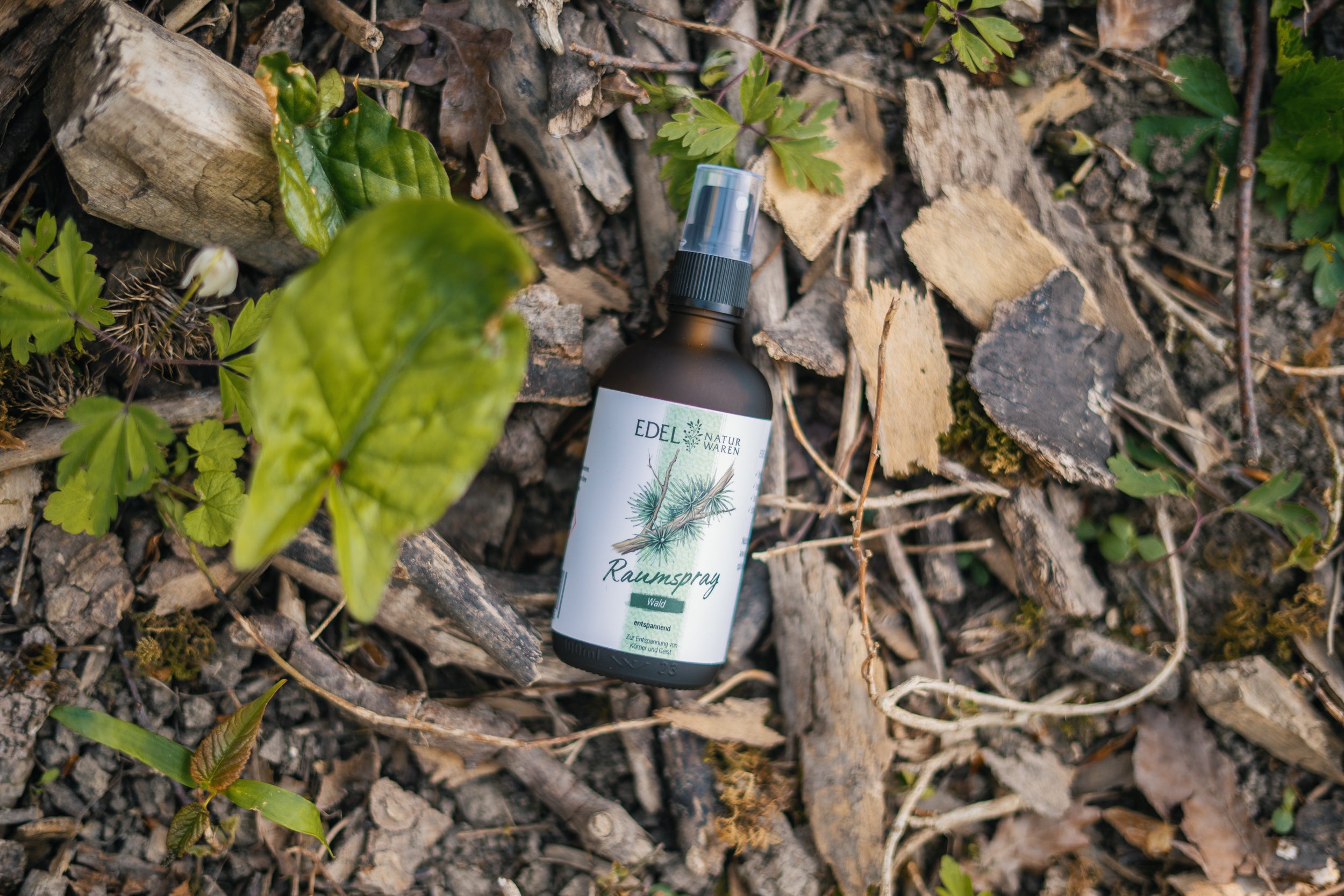 Raumspray Wald, 100ml